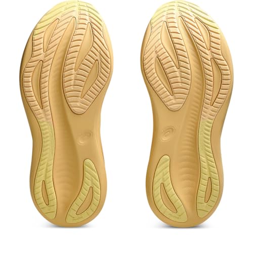 ASICS GEL-NIMBUS 27 LITE-SHOW Men's Running Shoes